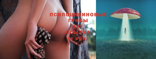 ПСИЛОЦИБИНОВЫЕ ГРИБЫ Абдулино