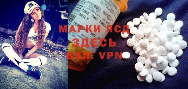 мяу мяу мука Абаза