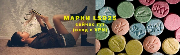 ПСИЛОЦИБИНОВЫЕ ГРИБЫ Абдулино